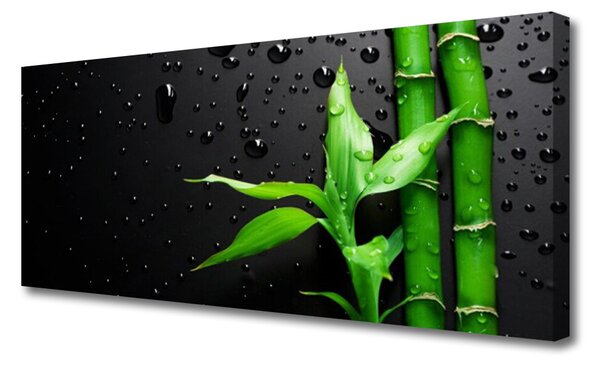 Obraz na plátne Bambus listy rastlina 125x50 cm