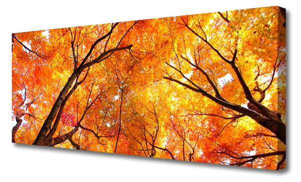 Obraz na plátne Stromy príroda 125x50 cm
