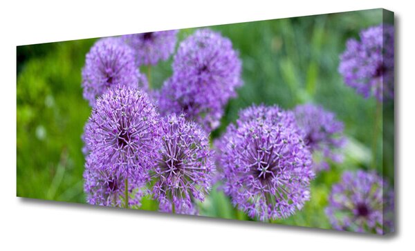 Obraz Canvas Fialové kvety lúka 125x50 cm