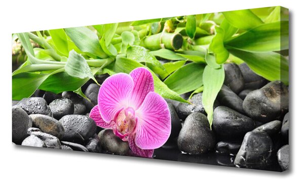 Obraz Canvas Kvety orchidea kamene zen 125x50 cm