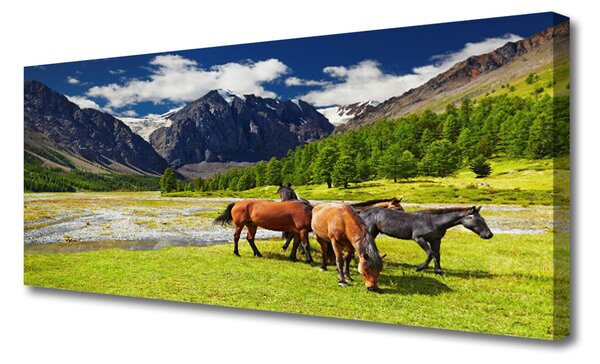 Obraz Canvas Hory stromy kone zvieratá 125x50 cm