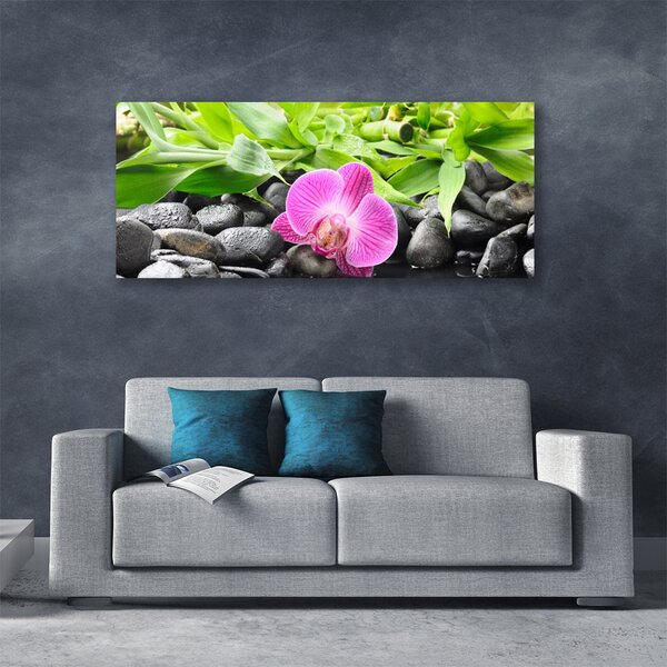 Obraz Canvas Kvety orchidea kamene zen 125x50 cm