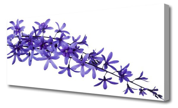 Obraz Canvas Kvety rastliny príroda 125x50 cm
