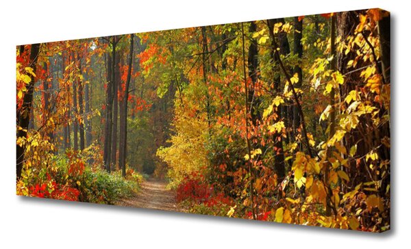 Obraz Canvas Les príroda jeseň 125x50 cm