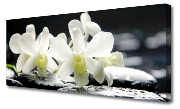 Obraz Canvas Kamene kvety orchidea 125x50 cm