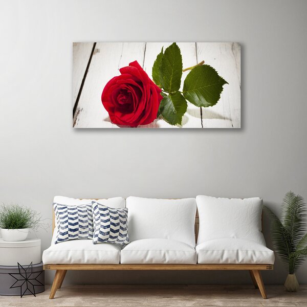 Obraz Canvas Ruže kvet rastlina 125x50 cm