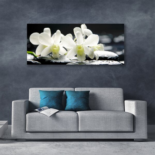 Obraz Canvas Kamene kvety orchidea 125x50 cm