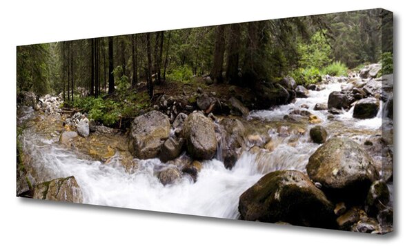 Obraz Canvas Les rieka vodopády 125x50 cm