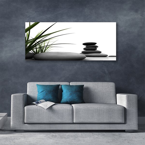 Obraz Canvas Kamene zen tráva 125x50 cm