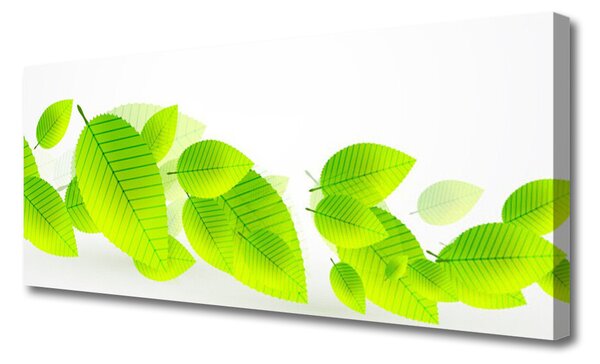 Obraz Canvas Listy kvety príroda 125x50 cm