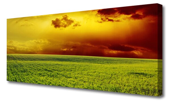 Obraz Canvas Pole príroda 125x50 cm