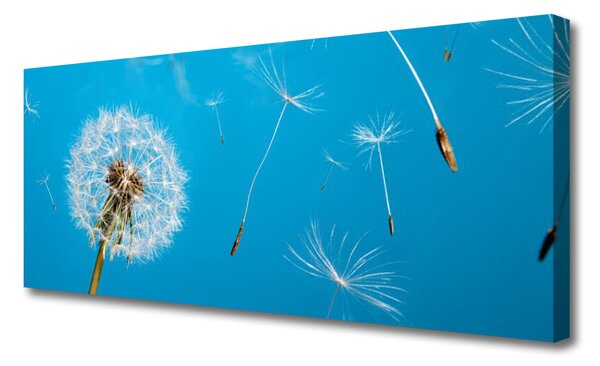 Obraz Canvas Púpavy kvety príroda 125x50 cm