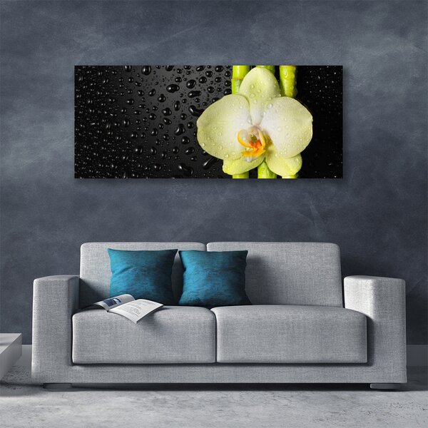 Obraz Canvas Bambus kvet orchidea 125x50 cm