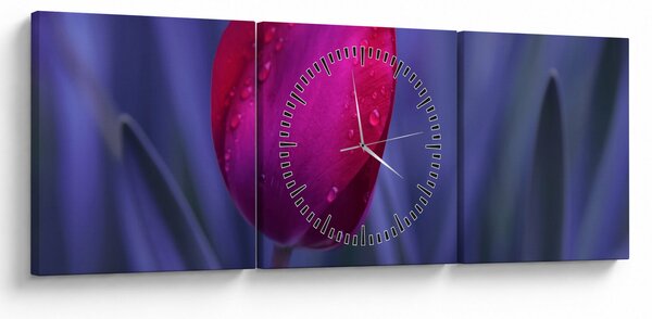 Obraz pupete tulipánu (s hodinami) (90x30 cm)