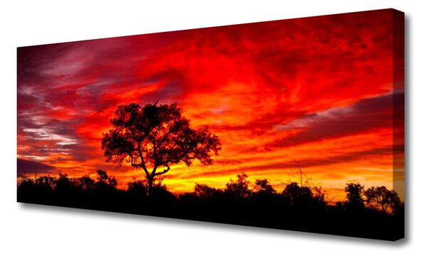 Obraz Canvas Les príroda príroda 125x50 cm
