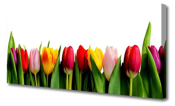 Obraz na plátne Tulipány rastlina 125x50 cm