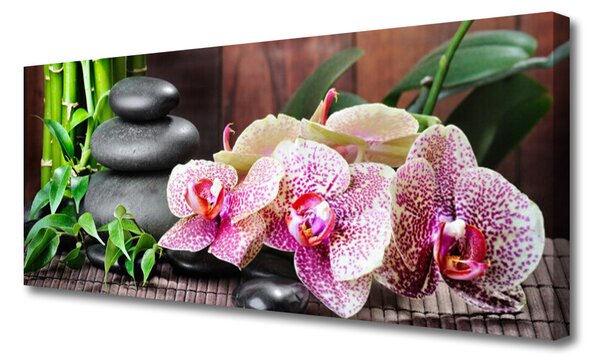 Obraz Canvas Bambus kamene zen kvety 125x50 cm