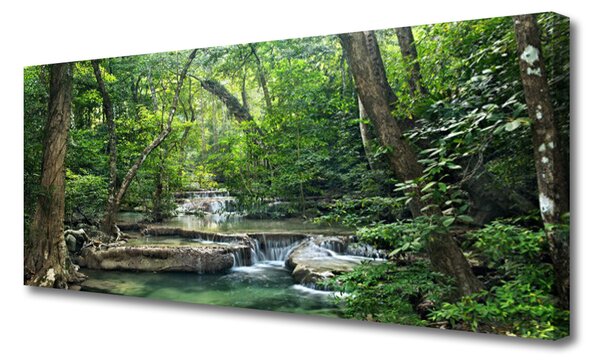 Obraz Canvas Lesné les príroda 125x50 cm