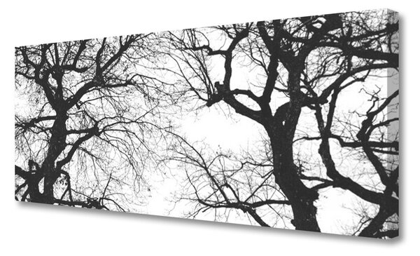 Obraz Canvas Stromy príroda čiernobiely 125x50 cm