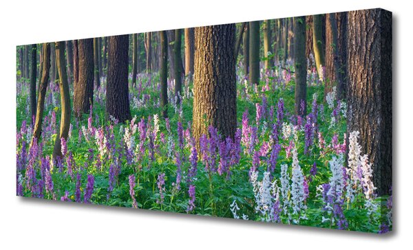 Obraz na plátne Les kvety príroda 125x50 cm