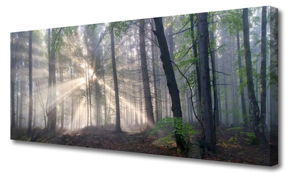 Obraz na plátne Les príroda 125x50 cm