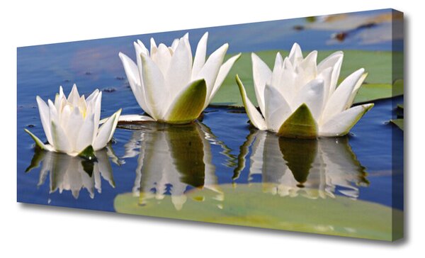 Obraz na plátne Kvety rastlina 125x50 cm