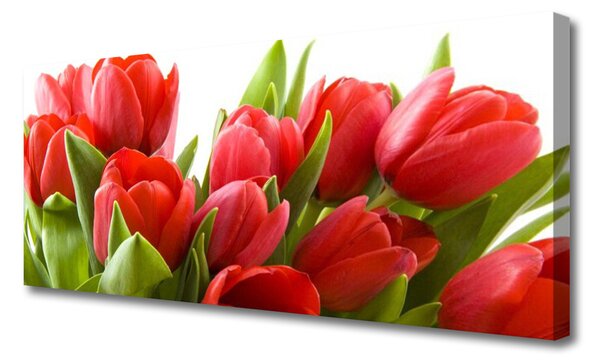 Obraz na plátne Tulipány kvety rastlina 125x50 cm