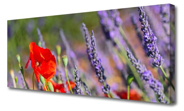 Obraz na plátne Kvety rastlina 125x50 cm