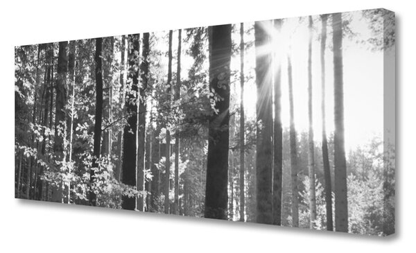Obraz na plátne Les príroda 125x50 cm
