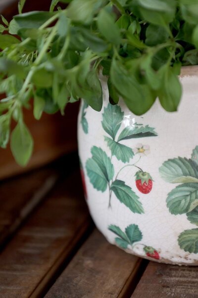 Krémový antik keramický obal na kvetináč s jahôdkami Fraises - Ø 12*9 cm - Chic Antique