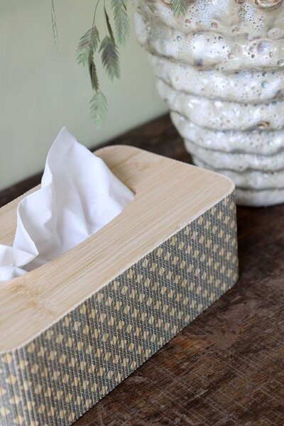 Zásobník na papierové vreckovky Reed - 25 * 14 * 10 cm - Chic Antique