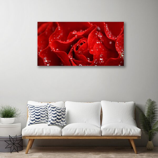 Obraz na plátne Ruže kvet rastlina 125x50 cm