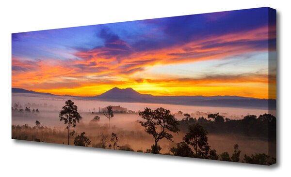 Obraz na plátne Stromy hmla krajina 125x50 cm
