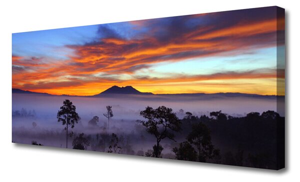 Obraz na plátne Stromy hmla krajina 125x50 cm