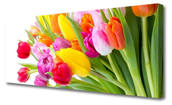 Obraz Canvas Tulipány kvety rastlina 125x50 cm