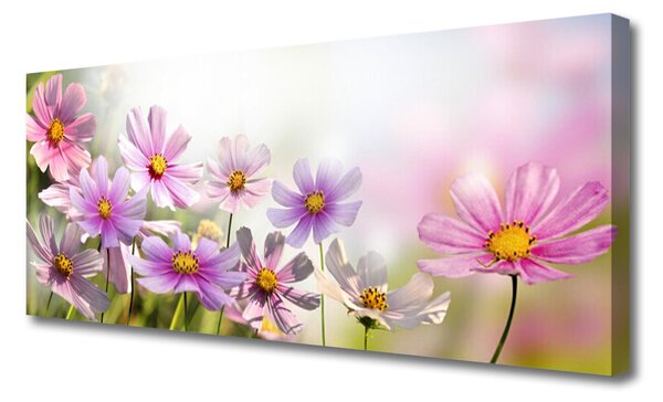 Obraz Canvas Kvety rastlina príroda 125x50 cm