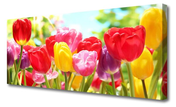 Obraz Canvas Tulipány kvety rastlina 125x50 cm