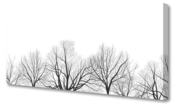Obraz Canvas Stromy rastlina príroda 125x50 cm