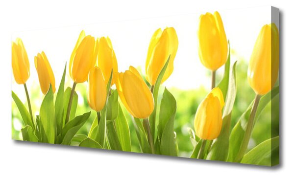 Obraz Canvas Tulipány kvety rastlina 125x50 cm