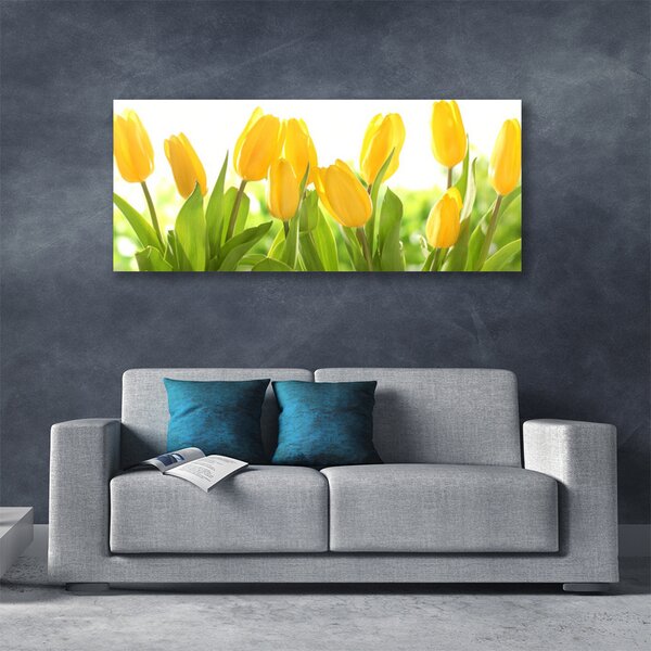 Obraz Canvas Tulipány kvety rastlina 125x50 cm