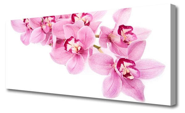 Obraz Canvas Kvety rastlina príroda 125x50 cm