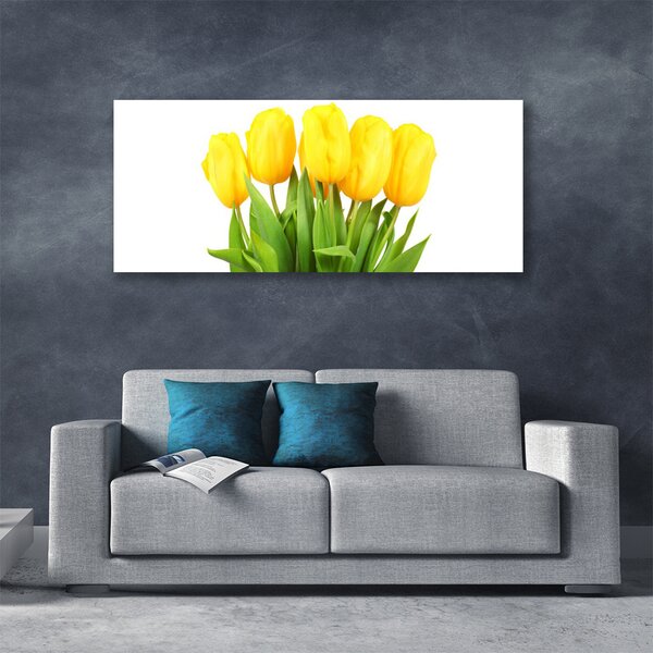 Obraz Canvas Tulipány kvety rastlina 125x50 cm
