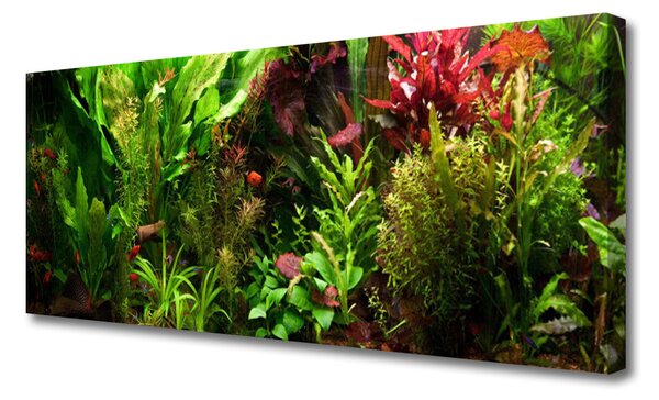Obraz Canvas Rastlina kvety príroda 125x50 cm