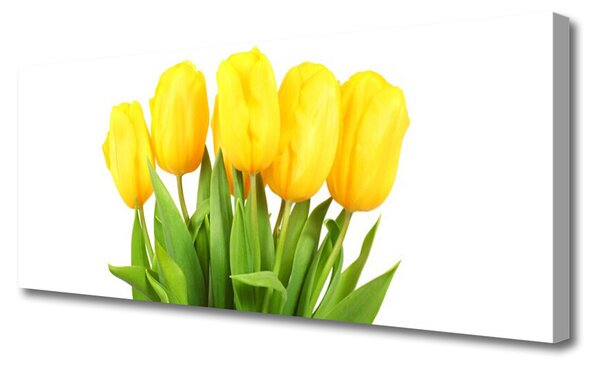 Obraz Canvas Tulipány kvety rastlina 125x50 cm