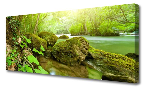 Obraz Canvas Jazero kamene príroda 125x50 cm