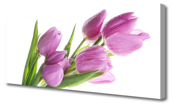 Obraz Canvas Tulipány kvety rastlina 125x50 cm