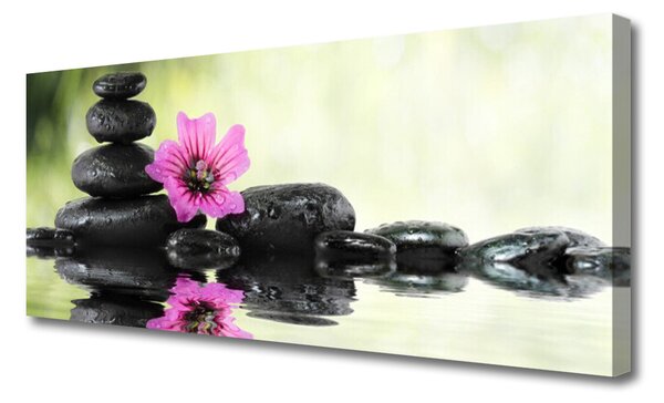 Obraz Canvas Kvet kamene umenie 120x60 cm