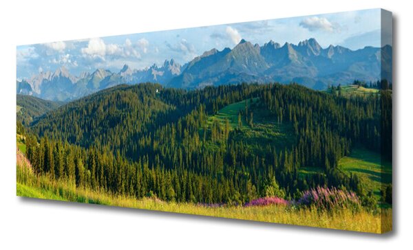 Obraz Canvas Hora les príroda 125x50 cm
