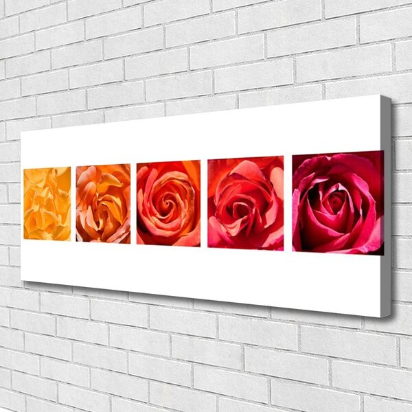 Obraz Canvas Ruže kvety rastlina 125x50 cm