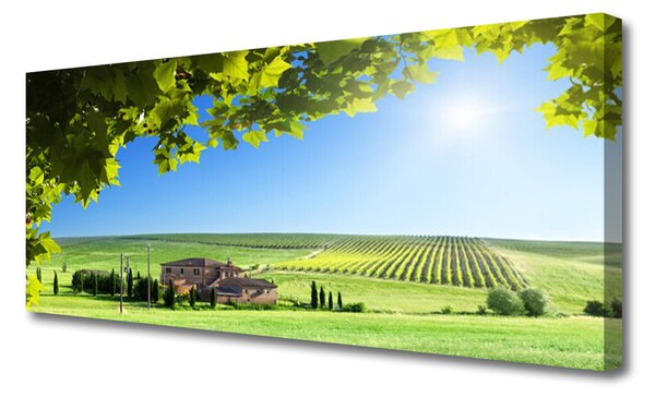 Obraz Canvas Pole listy krajina 125x50 cm